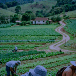 Atualização Importante: Aumento do Funrural a partir de abril de 2026